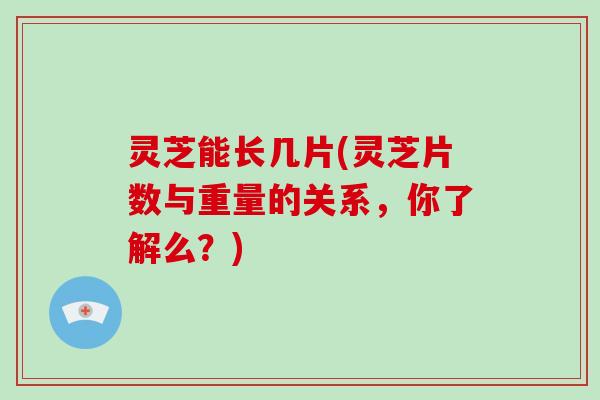 灵芝能长几片(灵芝片数与重量的关系，你了解么？)