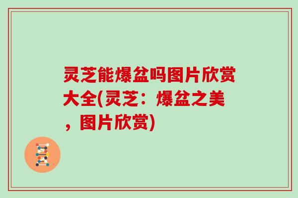 灵芝能爆盆吗图片欣赏大全(灵芝：爆盆之美，图片欣赏)