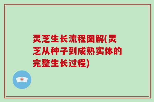 灵芝生长流程图解(灵芝从种子到成熟实体的完整生长过程)