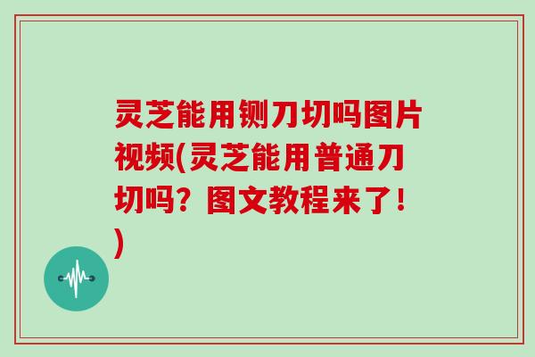 灵芝能用铡刀切吗图片视频(灵芝能用普通刀切吗？图文教程来了！)