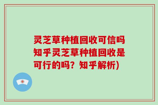 灵芝草种植回收可信吗知乎灵芝草种植回收是可行的吗？知乎解析)