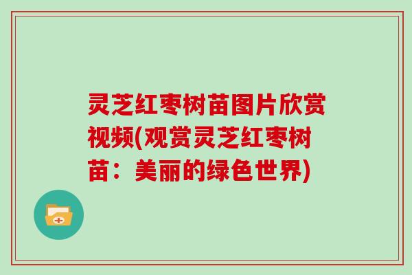 灵芝红枣树苗图片欣赏视频(观赏灵芝红枣树苗：美丽的绿色世界)