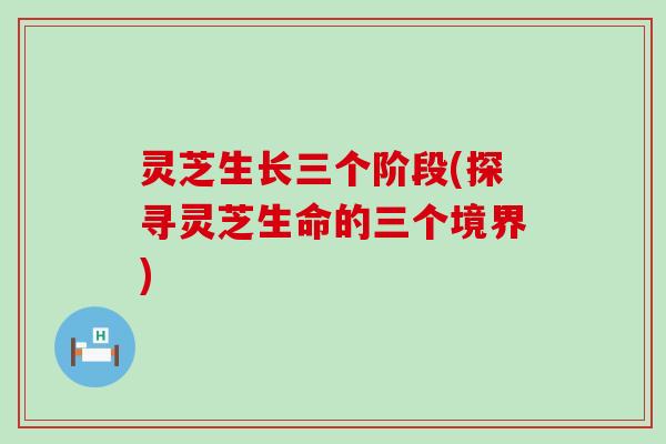 灵芝生长三个阶段(探寻灵芝生命的三个境界)