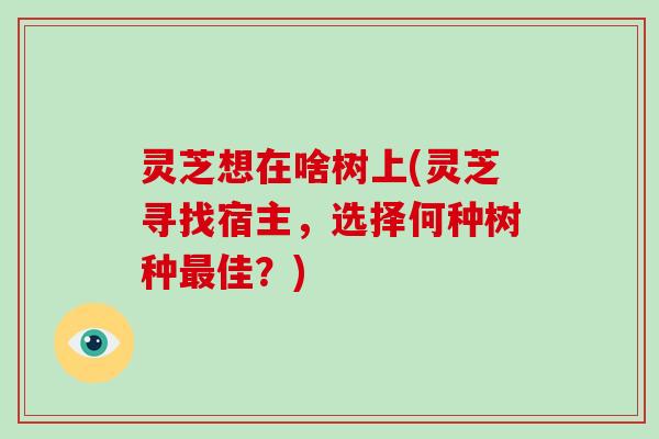 灵芝想在啥树上(灵芝寻找宿主，选择何种树种佳？)