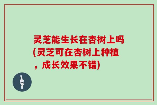 灵芝能生长在杏树上吗(灵芝可在杏树上种植，成长效果不错)