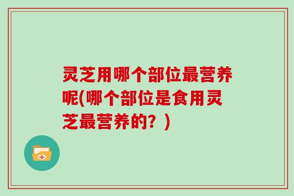 灵芝用哪个部位营养呢(哪个部位是食用灵芝营养的？)