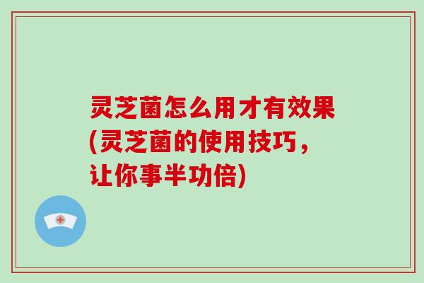 灵芝菌怎么用才有效果(灵芝菌的使用技巧，让你事半功倍)