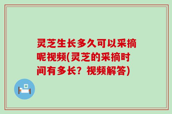 灵芝生长多久可以采摘呢视频(灵芝的采摘时间有多长？视频解答)