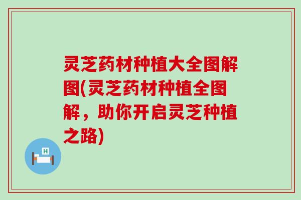 灵芝药材种植大全图解图(灵芝药材种植全图解，助你开启灵芝种植之路)