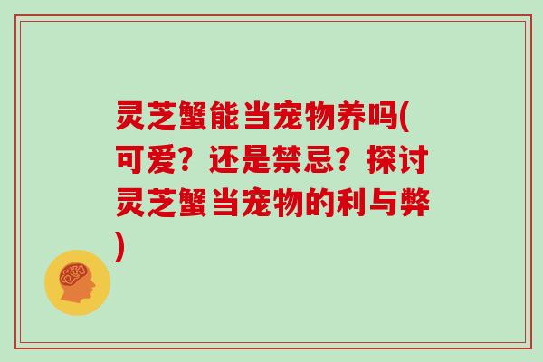 灵芝蟹能当宠物养吗(可爱？还是禁忌？探讨灵芝蟹当宠物的利与弊)