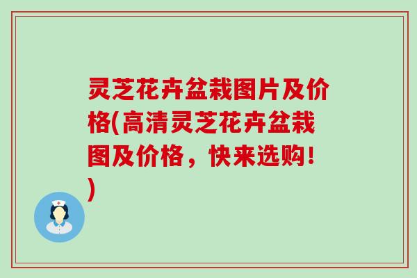 灵芝花卉盆栽图片及价格(高清灵芝花卉盆栽图及价格，快来选购！)