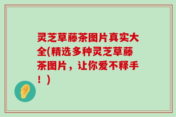 灵芝草藤茶图片真实大全(精选多种灵芝草藤茶图片，让你爱不释手！)