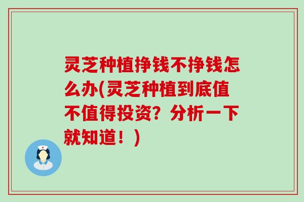 灵芝种植挣钱不挣钱怎么办(灵芝种植到底值不值得投资？分析一下就知道！)