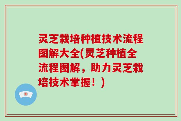 灵芝栽培种植技术流程图解大全(灵芝种植全流程图解，助力灵芝栽培技术掌握！)