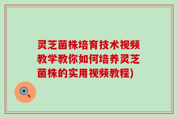 灵芝菌株培育技术视频教学教你如何培养灵芝菌株的实用视频教程)