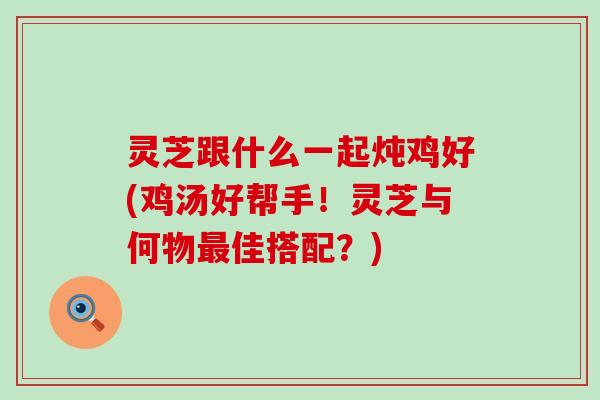 灵芝跟什么一起炖鸡好(鸡汤好帮手！灵芝与何物佳搭配？)