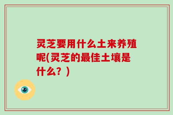 灵芝要用什么土来养殖呢(灵芝的佳土壤是什么？)