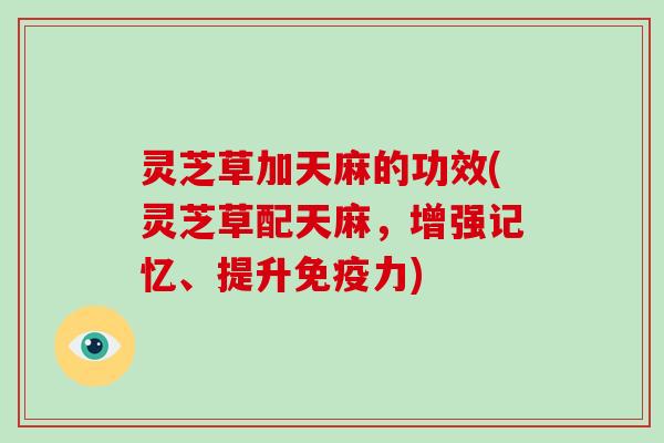 灵芝草加天麻的功效(灵芝草配天麻，增强记忆、提升免疫力)