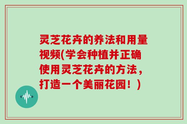 灵芝花卉的养法和用量视频(学会种植并正确使用灵芝花卉的方法，打造一个美丽花园！)