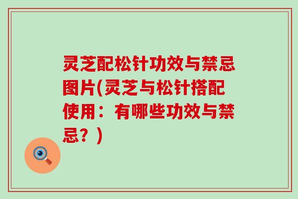 灵芝配松针功效与禁忌图片(灵芝与松针搭配使用：有哪些功效与禁忌？)