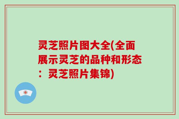 灵芝照片图大全(全面展示灵芝的品种和形态：灵芝照片集锦)