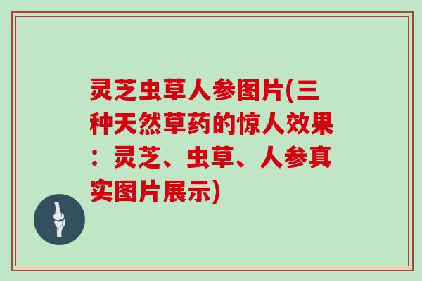 灵芝虫草人参图片(三种天然草药的惊人效果：灵芝、虫草、人参真实图片展示)