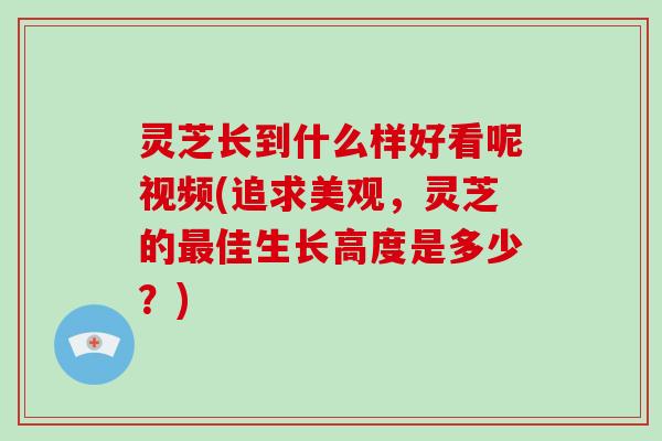 灵芝长到什么样好看呢视频(追求美观，灵芝的佳生长高度是多少？)