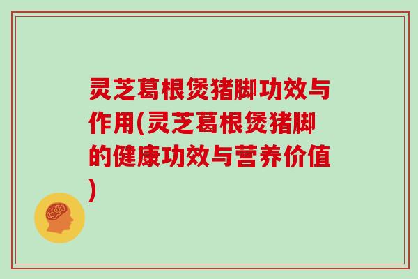 灵芝葛根煲猪脚功效与作用(灵芝葛根煲猪脚的健康功效与营养价值)