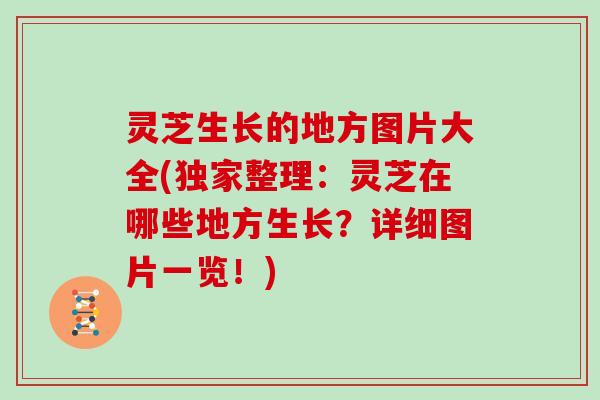 灵芝生长的地方图片大全(独家整理：灵芝在哪些地方生长？详细图片一览！)