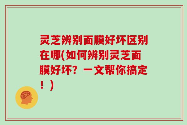 灵芝辨别面膜好坏区别在哪(如何辨别灵芝面膜好坏？一文帮你搞定！)