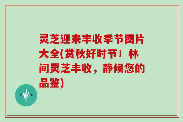 灵芝迎来丰收季节图片大全(赏秋好时节！林间灵芝丰收，静候您的品鉴)