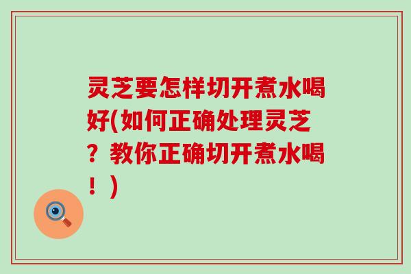 灵芝要怎样切开煮水喝好(如何正确处理灵芝？教你正确切开煮水喝！)