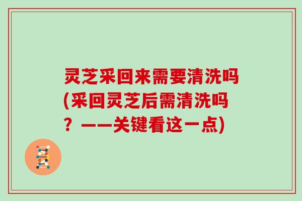 灵芝采回来需要清洗吗(采回灵芝后需清洗吗？——关键看这一点)