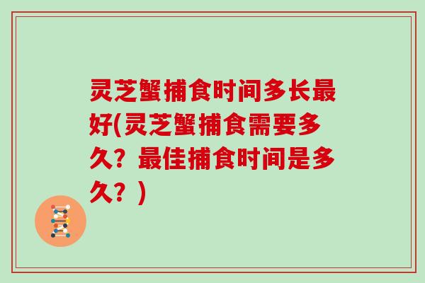 灵芝蟹捕食时间多长好(灵芝蟹捕食需要多久？佳捕食时间是多久？)