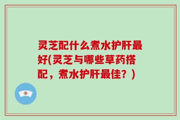 灵芝配什么煮水好(灵芝与哪些草药搭配，煮水佳？)