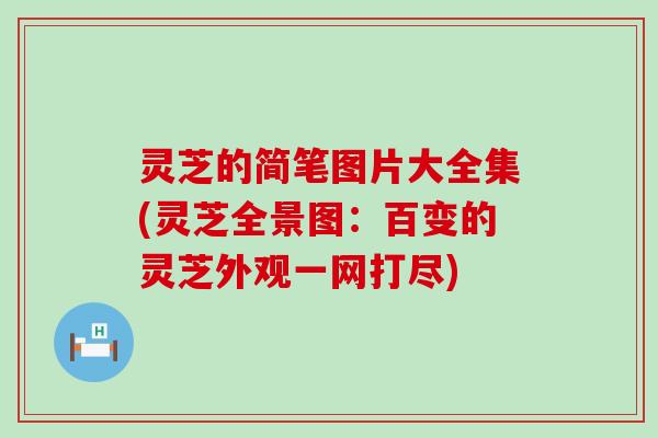 灵芝的简笔图片大全集(灵芝全景图：百变的灵芝外观一网打尽)