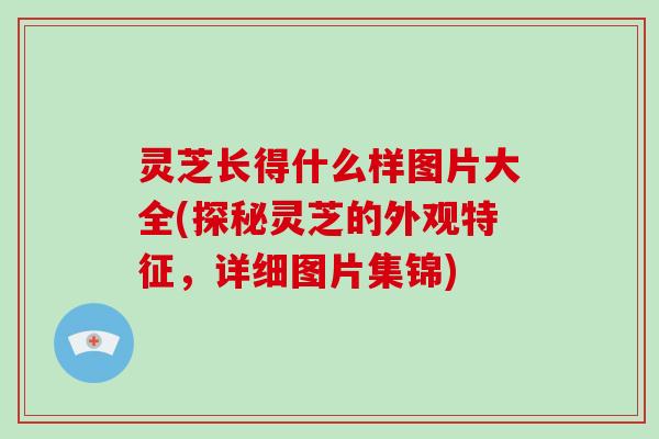 灵芝长得什么样图片大全(探秘灵芝的外观特征，详细图片集锦)