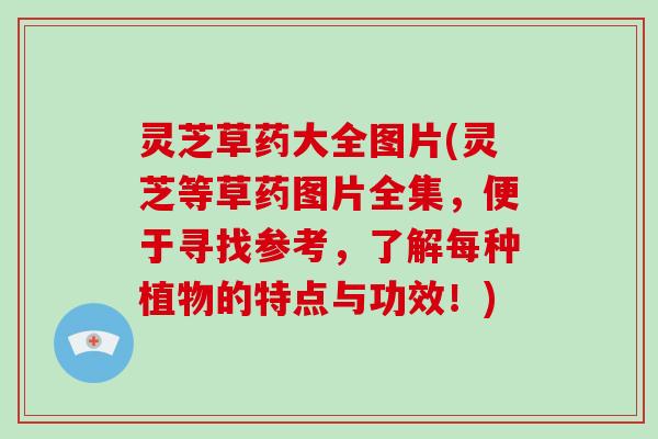 灵芝草药大全图片(灵芝等草药图片全集，便于寻找参考，了解每种植物的特点与功效！)