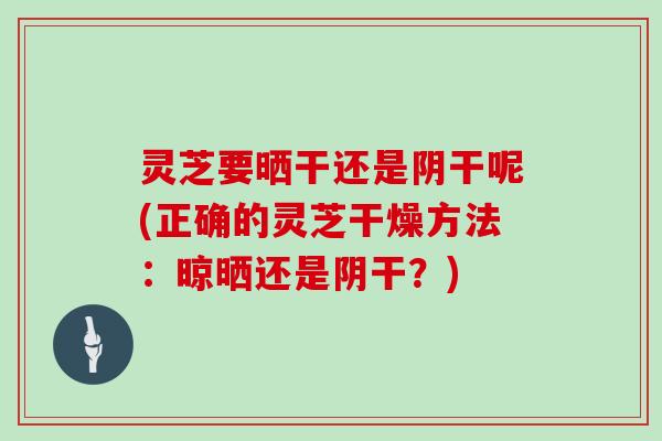 灵芝要晒干还是阴干呢(正确的灵芝干燥方法：晾晒还是阴干？)