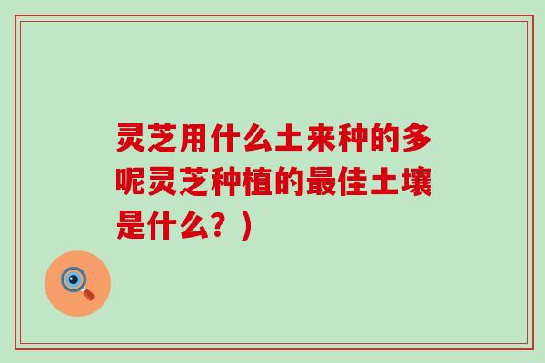 灵芝用什么土来种的多呢灵芝种植的佳土壤是什么？)