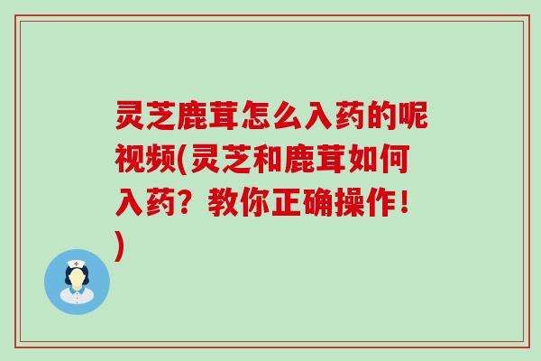 灵芝鹿茸怎么入药的呢视频(灵芝和鹿茸如何入药？教你正确操作！)