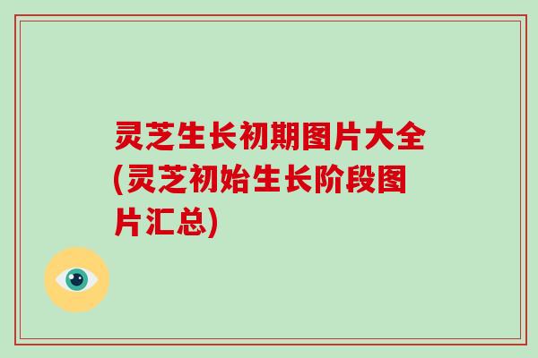 灵芝生长初期图片大全(灵芝初始生长阶段图片汇总)