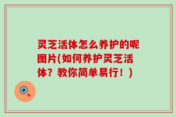 灵芝活体怎么养护的呢图片(如何养护灵芝活体？教你简单易行！)