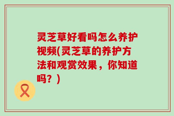 灵芝草好看吗怎么养护视频(灵芝草的养护方法和观赏效果，你知道吗？)