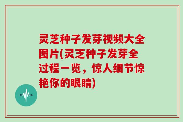 灵芝种子发芽视频大全图片(灵芝种子发芽全过程一览，惊人细节惊艳你的眼睛)