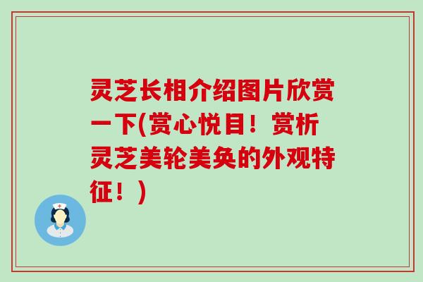 灵芝长相介绍图片欣赏一下(赏心悦目！赏析灵芝美轮美奂的外观特征！)