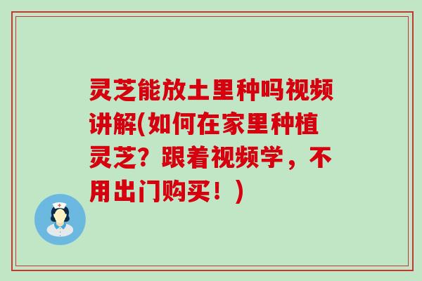 灵芝能放土里种吗视频讲解(如何在家里种植灵芝？跟着视频学，不用出门购买！)