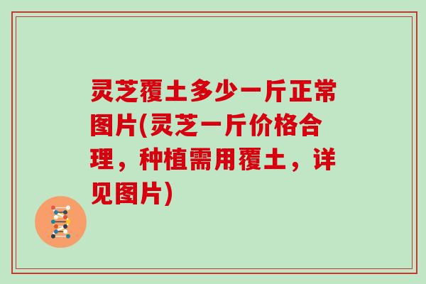 灵芝覆土多少一斤正常图片(灵芝一斤价格合理，种植需用覆土，详见图片)