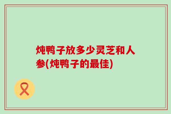 炖鸭子放多少灵芝和人参(炖鸭子的佳)