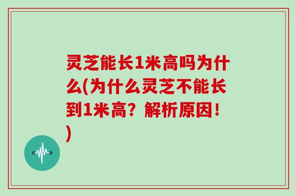 灵芝能长1米高吗为什么(为什么灵芝不能长到1米高？解析原因！)